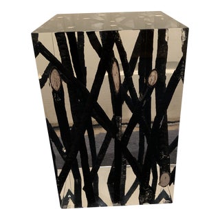 Holden Acrylic Cube with Burnt Wood For Sale