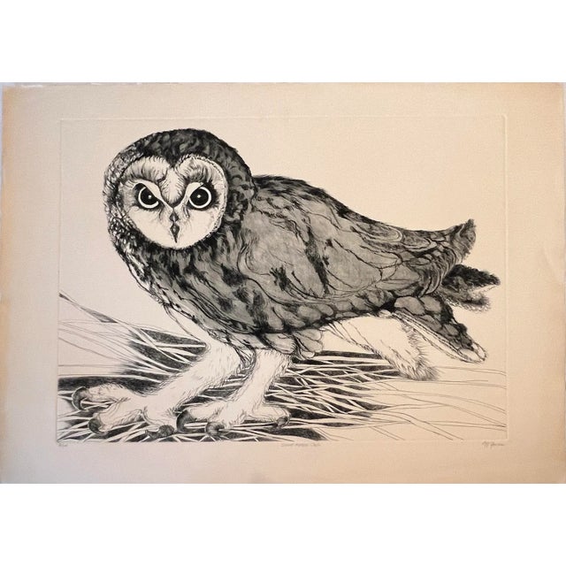 Mid-Century Modern "Short-Eared Owl" Etching by Christine McGinnis, Printed by David Lynch Ca. 1965 For Sale - Image 3 of 7