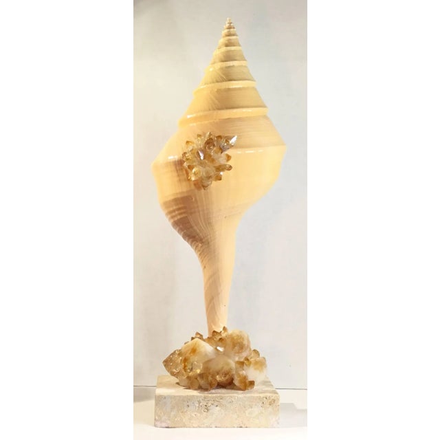 Vintage Large One of a Kind Sea Shell and Citrine Crystal by Joseph Malekan For Sale - Image 10 of 11