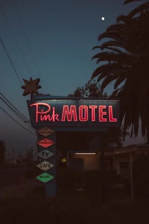 The Pink Motel by Joel Lavold Print, 12" x 18"