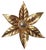Golden Flowers Wall Lamp by Willy Daro from Massive, 1970s For Sale
