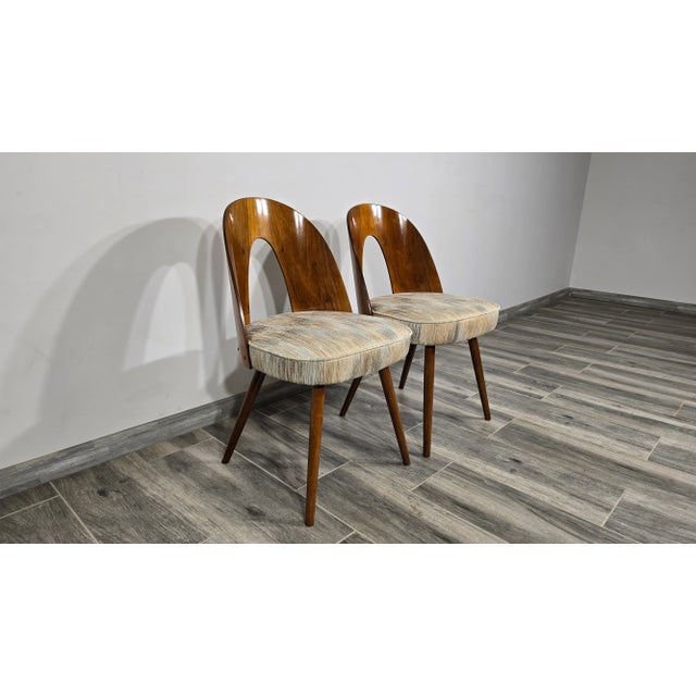 Dining Chairs by Antonin Suman, 1960s, Set of 2 For Sale - Image 10 of 17