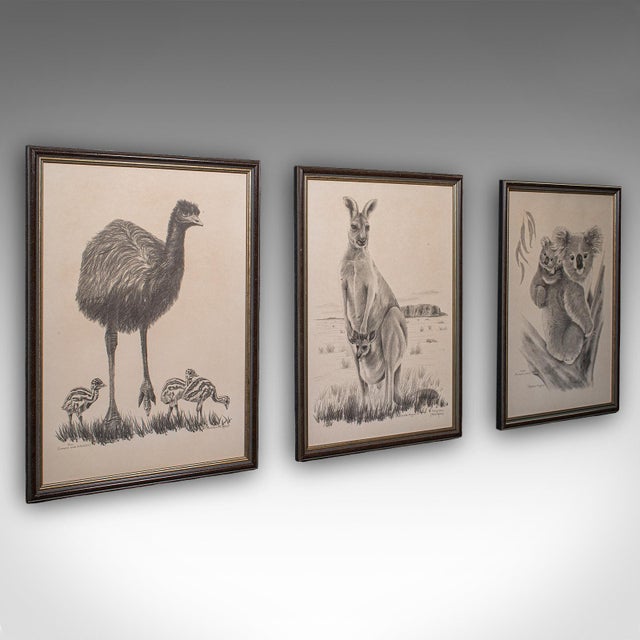 This is a trio of vintage Australian wildlife pictures. An English, framed print of a Koala, Kangaroo and Emu, dating to...