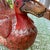 Mottahedeh Lowestoft Reproduction Peking Duck tureen // Chinoiserie duck // hand-painted // Made in Italy // 1950s decor // orange and gold For Sale In Kansas City - Image 6 of 9
