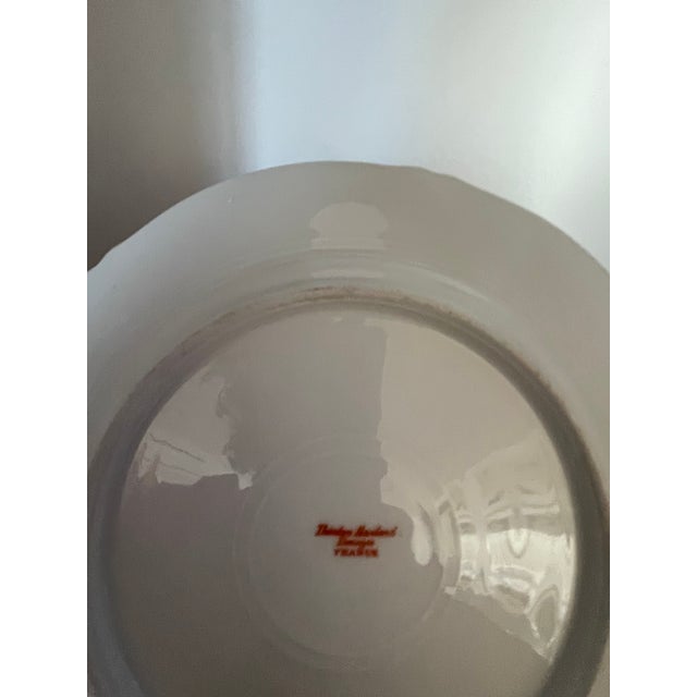 Vintage Theodore Haviland Limoges Fish Platter and Plate Set - 13 pcs For Sale In Boston - Image 6 of 6