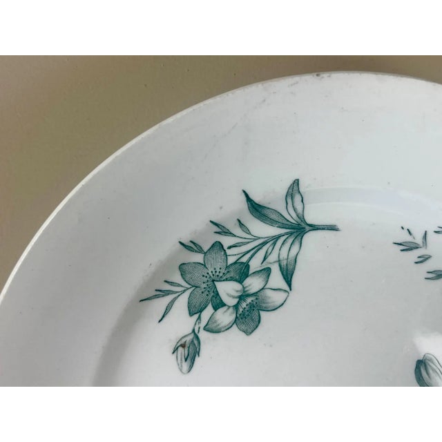 Antique Italian Botanical Plates | s.c.r. Linneo Green Transferware Set (20cm) For Sale - Image 12 of 18