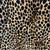 Vintage Restored Leopard Print Arm / Lounge Chairs a Pair For Sale In Miami - Image 6 of 11