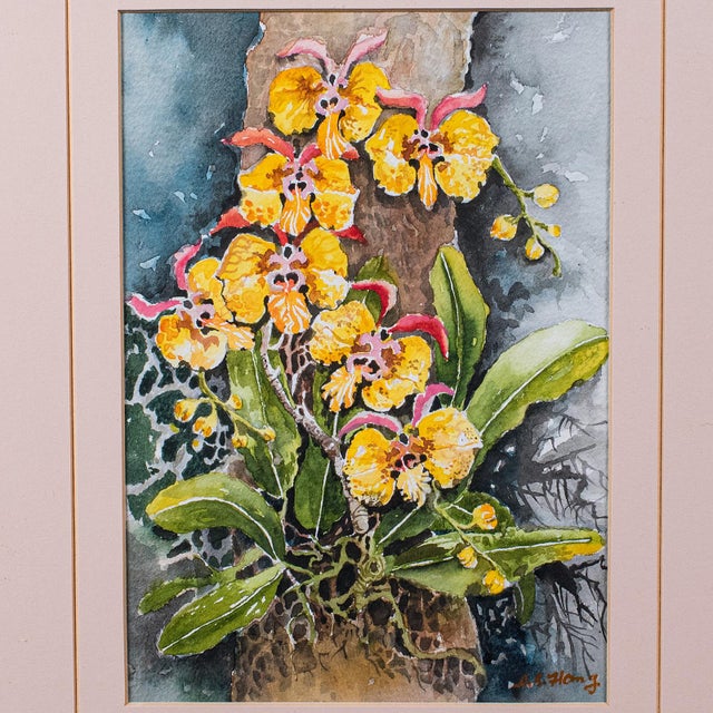 Set of 4 Vintage Botanical Watercolour Pictures, Malaysian Art, Orchids, Framed For Sale - Image 9 of 12