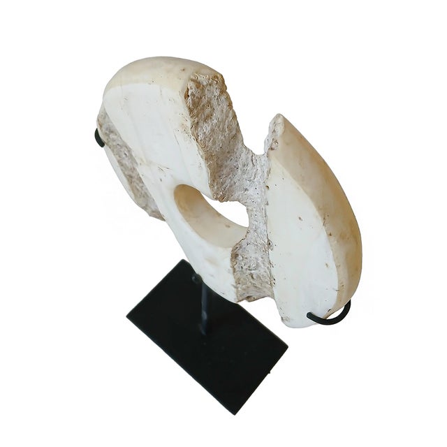 Indonesian Stone Disk For Sale - Image 15 of 17