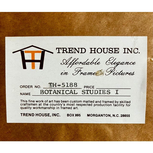 Vintage Framed Botanical Lithographic Print of Zantedeschia Aethiopica (Calla Lily) by Thalia Lincoln. For Sale - Image 18 of 18