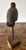 Mid 20th Century Vintage Hand Carved and Painted Wooden Shorebird, Folk Art For Sale - Image 5 of 9