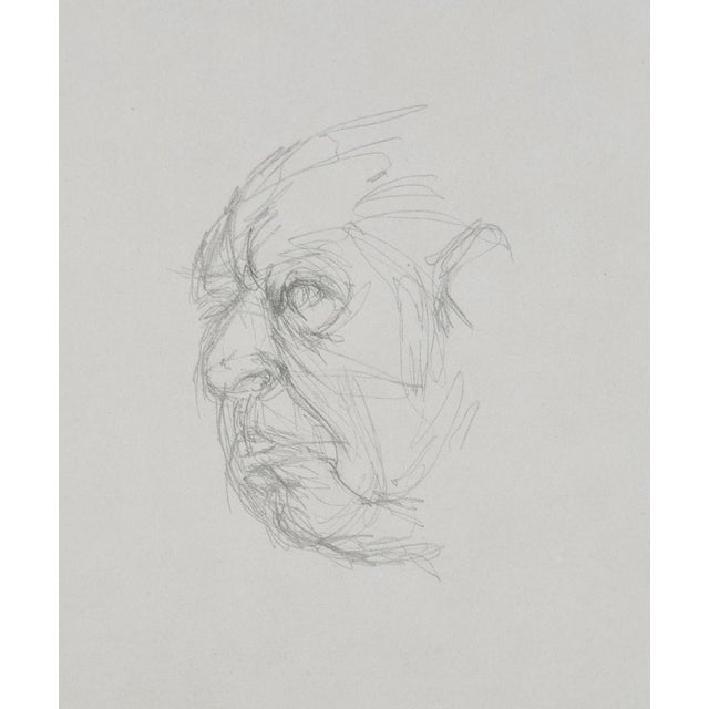 Giacometti, Head of Igor Stravinsky, 1963, Lithograph For Sale - Image 4 of 9