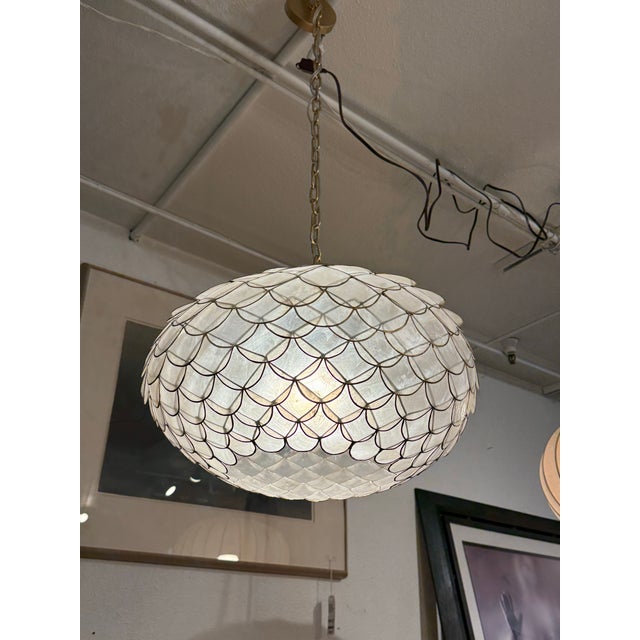 2020s Serena & Lily Capiz Scalloped Chandelier For Sale - Image 5 of 12