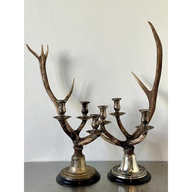Vintage Natural Deer Antler Candlesticks - A Pair For Sale - Image 9 of 12
