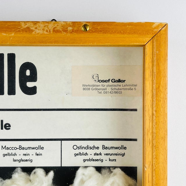 Brown Vintage School Education Display Die Baumwolle (Cotton) by Josef Galler, Germany, 1960s For Sale - Image 8 of 14