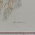 Margot Weemaes 1981 Beloperone Guttata Botanical Portfolio Print For Sale - Image 4 of 11