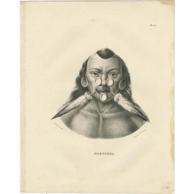 Karl Joseph Brodtmann, Member of the Maxuruna Amazon Tribe, 1836, Paper For Sale - Image 6 of 7