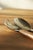 Mid-Century Modern Danish Modern Spoons, 1960s, Set of 2 For Sale - Image 5 of 6
