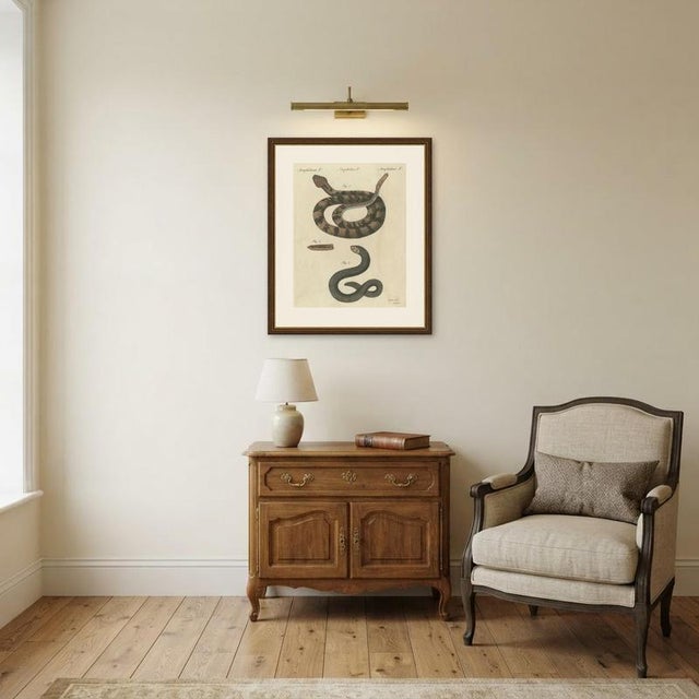 Bertuch, Rattlesnake with Its Rattle, 1805, Print For Sale - Image 11 of 12