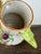 Antique Italian Zoomorphic Majolica Coffee Pot in the style of Pasquale Rubati, Early 20th Century For Sale - Image 16 of 17