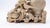 Chinese 19th Century Chinese Carved Soapstone Urn Vase Inkwell For Sale - Image 3 of 8