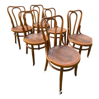 1895-1914, J&j Kohn Bentwood Chairs, Pre-Thonet Sequentially Numbered For Sale