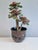 Cobalt Blue Glazed Studio Ceramic Planter from Serocka, Germany, 1970s For Sale - Image 6 of 14