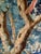 Aubusson French Tapestry Verdure Red Parrot in a Tree 18 Century For Sale - Image 9 of 15