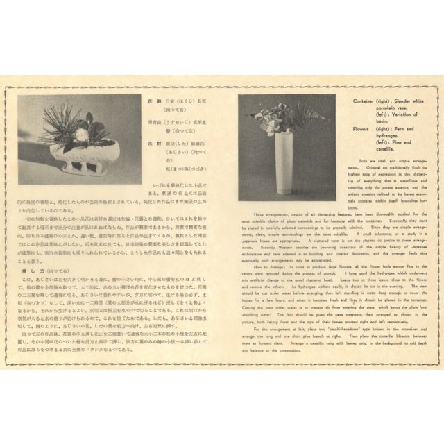 Original Botanical Lithograph-Japanese Floral Arrangement, Matted For Sale - Image 4 of 5