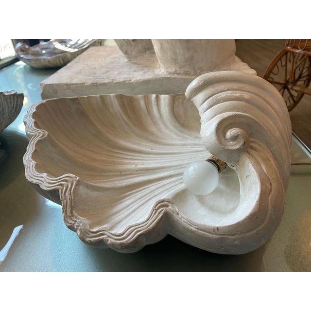 Plaster Shell Wall Lamp, 1950s For Sale - Image 11 of 13