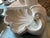 Plaster Shell Wall Lamp, 1950s For Sale - Image 11 of 13