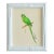 Original Hand-Painted Parrot Painting Framed in a Handpainted-Painted Frame For Sale