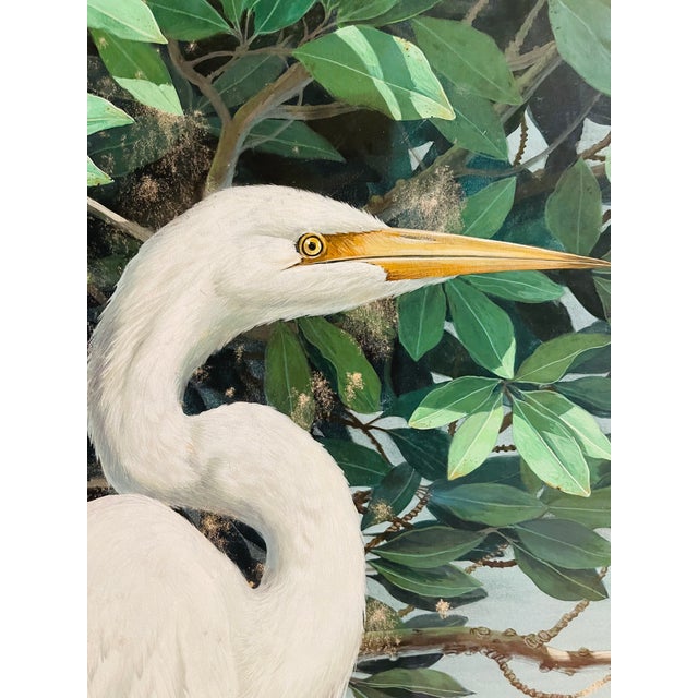 Spectacular Original Don Blake Snow Egret Large Gouache and Watercolor Painting, Framed For Sale In Miami - Image 6 of 7