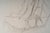 Unknown, Depicting a Young Woman Sitting, 20th Century, Drawing on Paper For Sale - Image 6 of 8