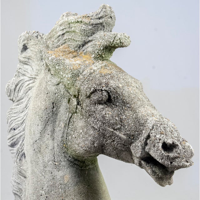 1960s Immense Vintage Cast Cement, Concrete Horse Head Sculpture For Sale - Image 12 of 14