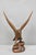 Late 20th Century Vintage Black Forest 24" Hand Carved Wood Bald Eagle Figure Statue Sculpture For Sale - Image 5 of 18