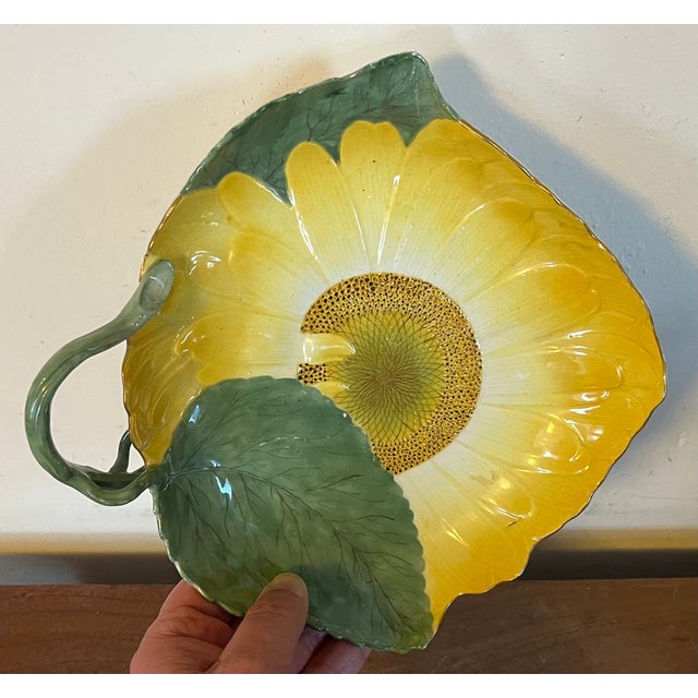 18th Century Antique 18th Century Meissen Porcelain Botanical Sunflower Dish For Sale - Image 5 of 15