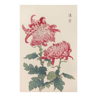 Pink Chrysanthemums, Vintage Japanese Botanical Art Print, 8" X 12" For Sale