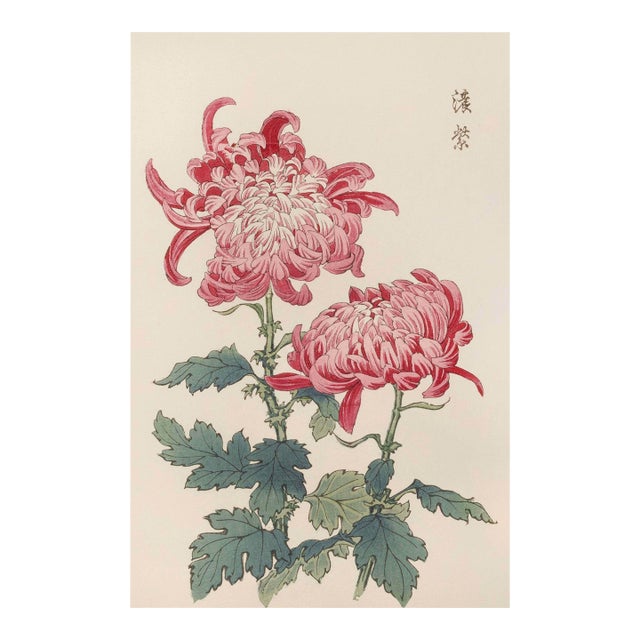 Pink Chrysanthemums, Vintage Japanese Botanical Art Print, 8" X 12" For Sale