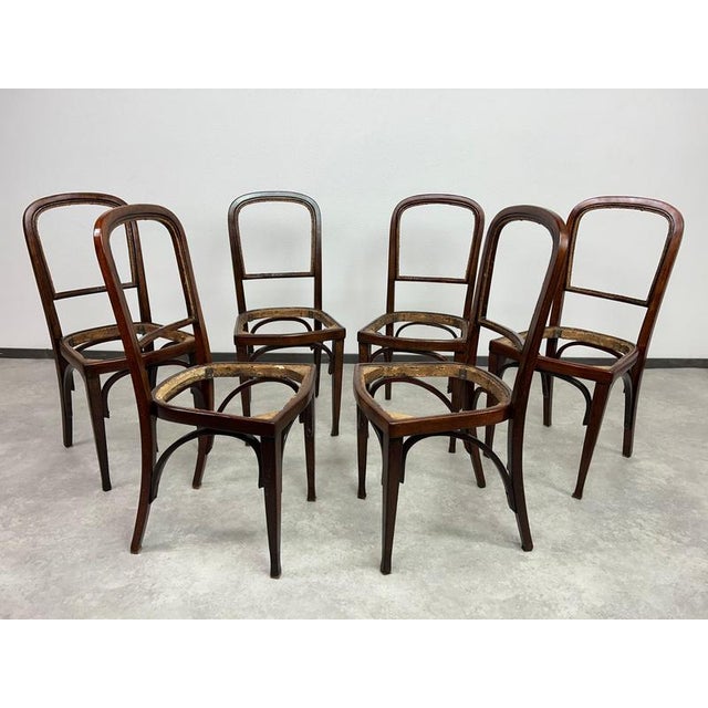 Exceptional set of six dining chairs designed by renowned architect gustav siegel and produced by the distinguished...