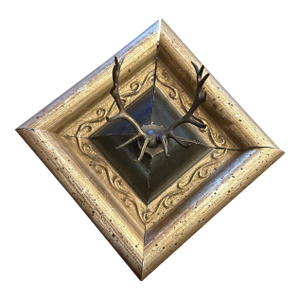 Framed Antlers