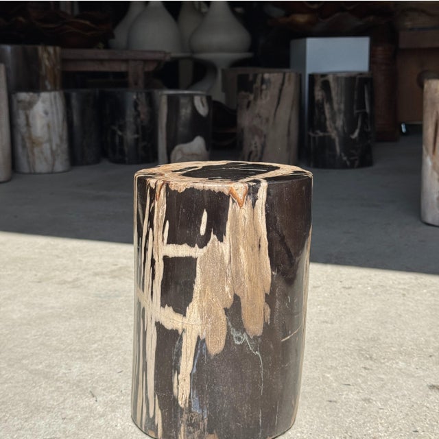 Contemporary Small Side Table in Petrified Wood, Black Heartwood, Bark with Black and Beige Streaks, 1980s For Sale - Image 3 of 18