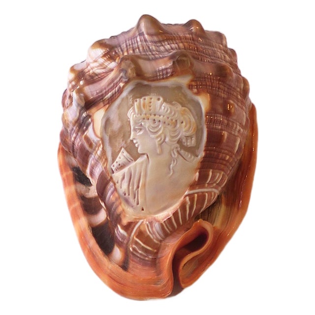 Italian Cameo Shell Seashell, Neoclassical Style, Mid-20th Century, Italy For Sale