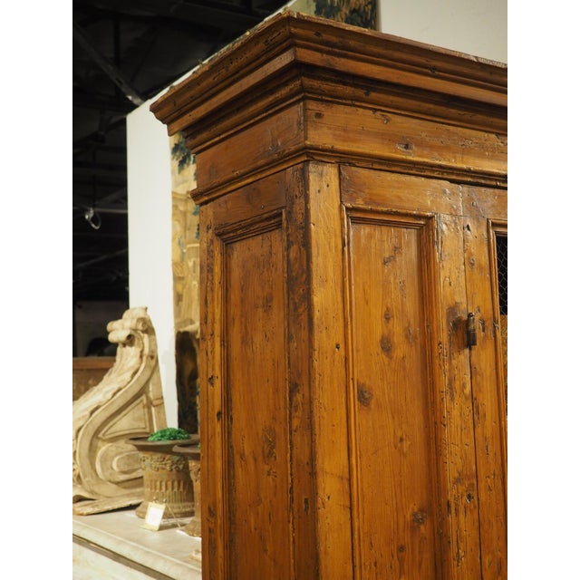A Circa 1800 Tuscan Pine Bookcase With Wire Panels For Sale - Image 17 of 18