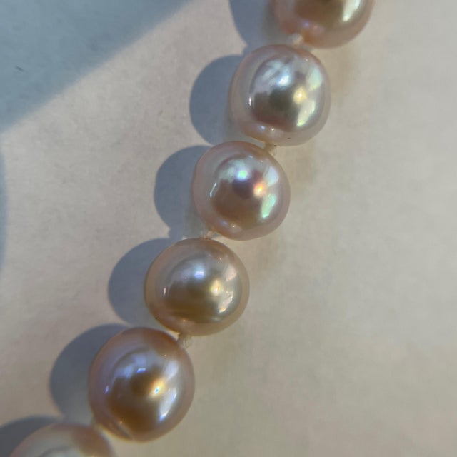 Pink Pearl Single Strand Necklace With 14k Yellow Gold Clasp For Sale In New York - Image 6 of 8
