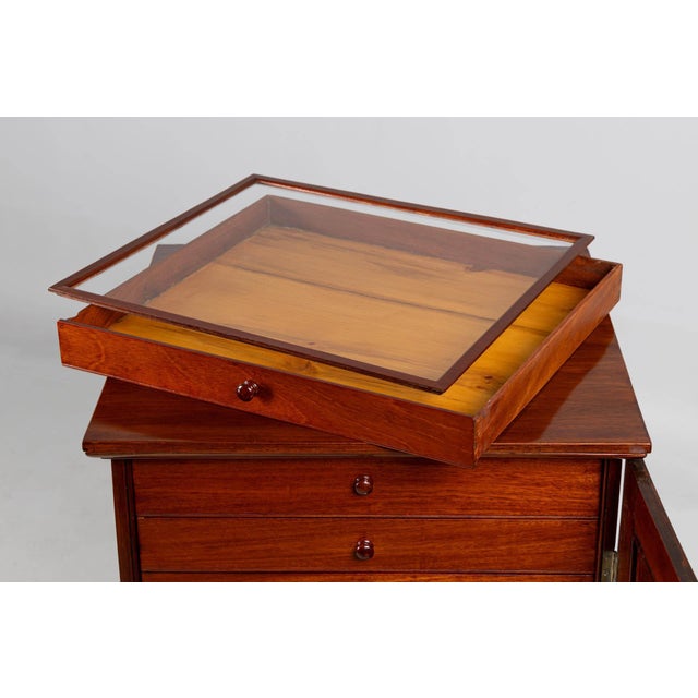 19th Century Collectors Cabinet with 14 Drawers For Sale - Image 12 of 15