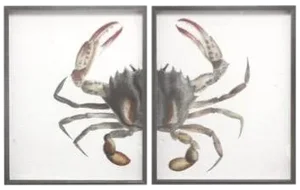 Red Splinter Crab in Pewter Frame - Total 48x30