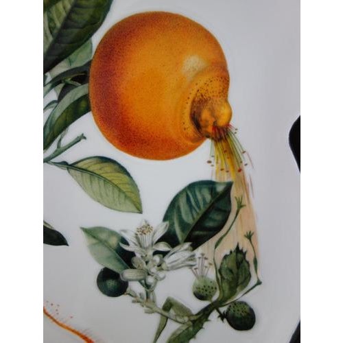 Porcelain Grapefruit Plate from Salvador Dali For Sale - Image 6 of 10