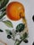 Porcelain Grapefruit Plate from Salvador Dali For Sale - Image 6 of 10