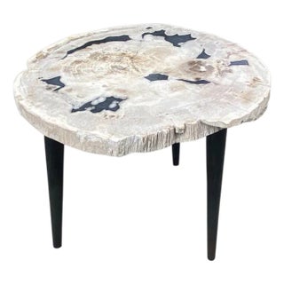 Andrianna Shamaris Petrified Wood Slab Table with Steel Base For Sale